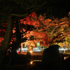 松山城二之丸庭園 夜ノ章