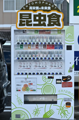 2025/2/9(日) 地元徘徊記 その①