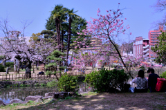 2025年3月26日(水) 春の訪れ②