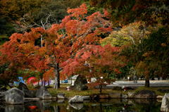 松山城二之丸庭園 昼ノ章