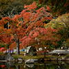 松山城二之丸庭園 昼ノ章
