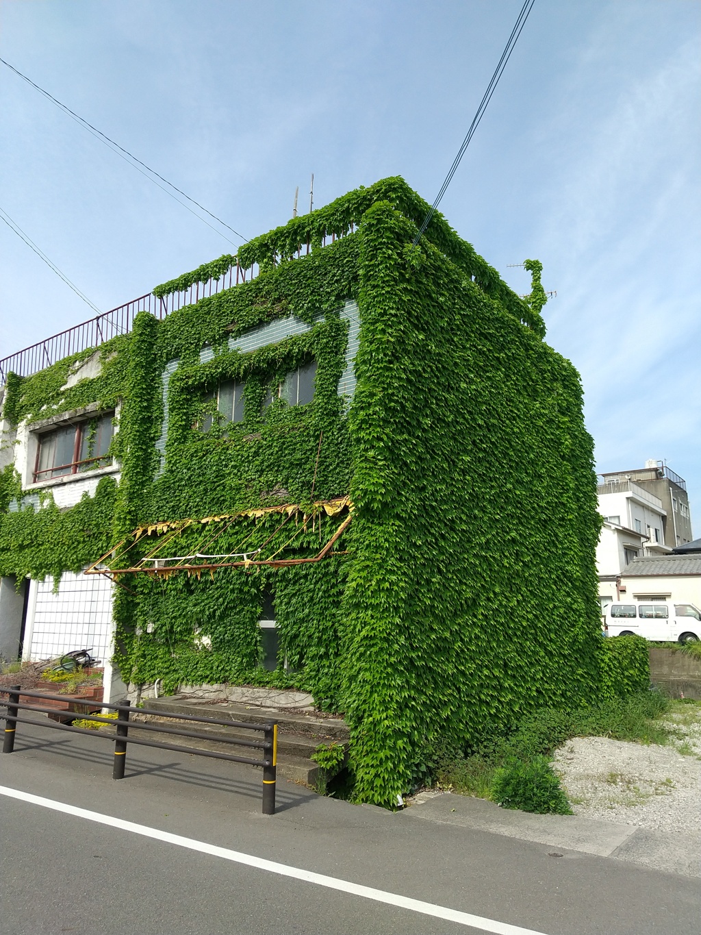 ツタ家