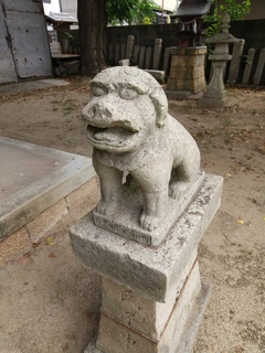 明和元年（１７６４年）の銘がある、姫路で最も古い狛犬、阿形