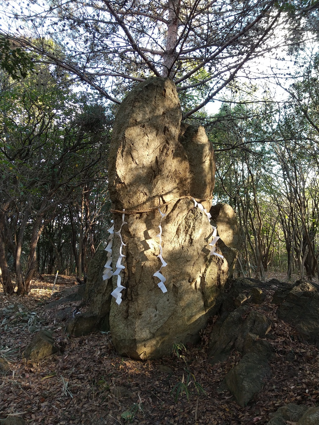 国府山城の磐座