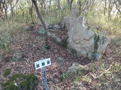 山城にも庭園があったのか