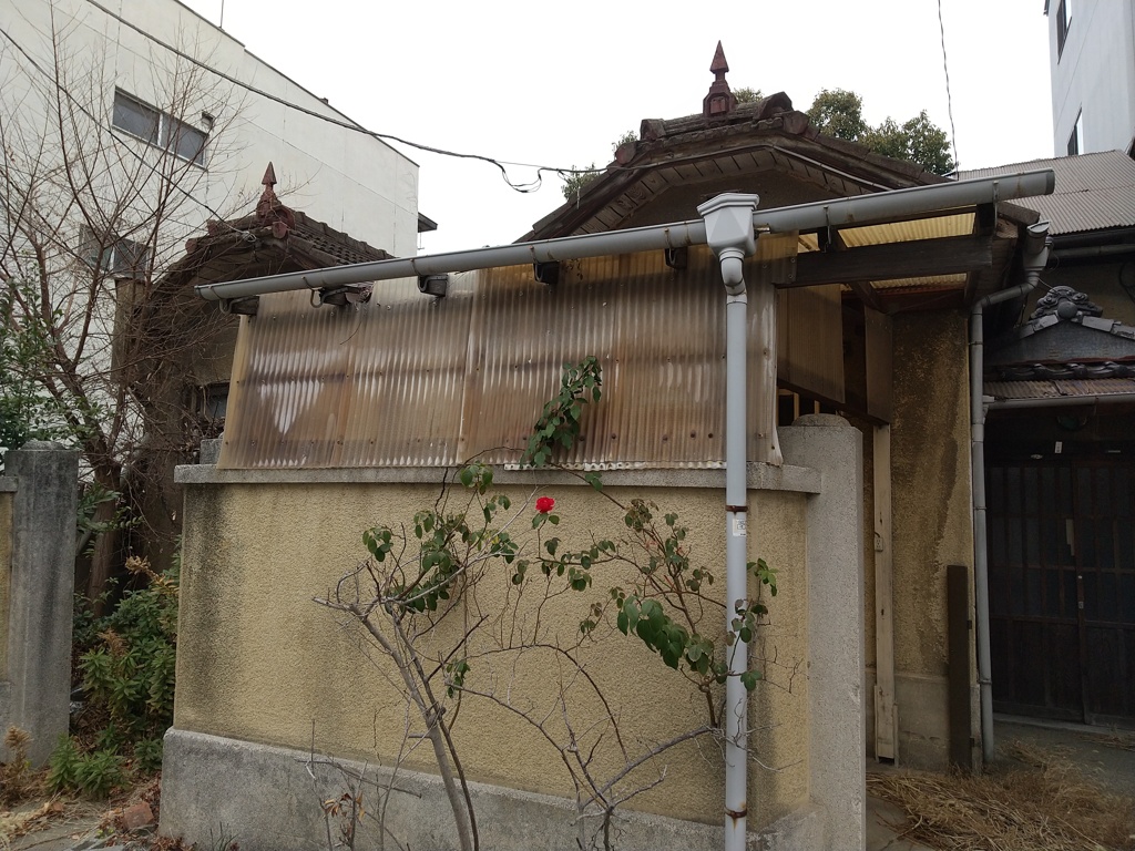 いい感じの廃墟の玄関先に一輪の薔薇が咲いていました