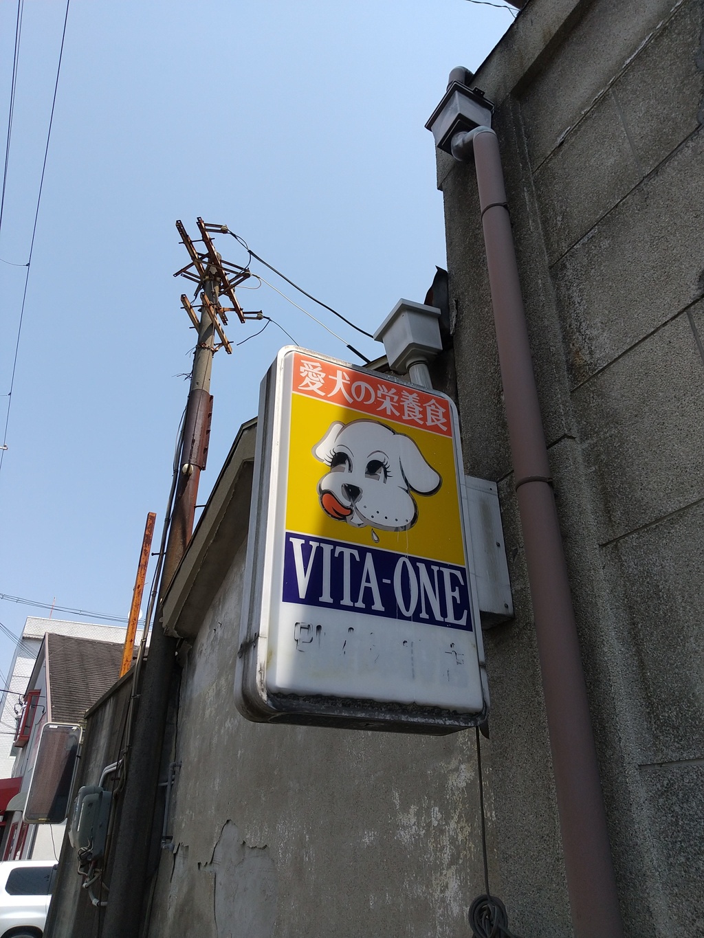 ビタワン