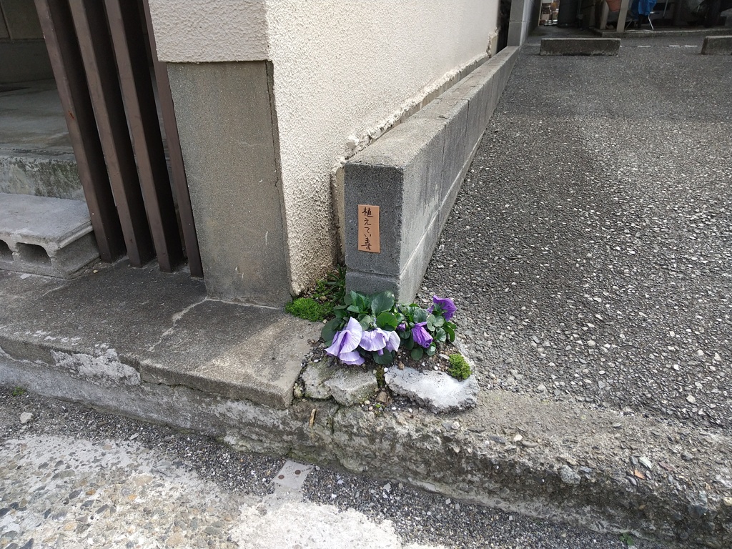 日本一小さいっぽい花壇