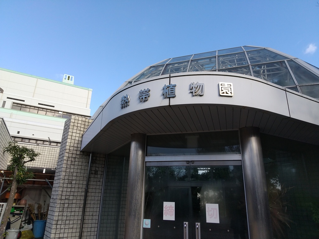 ９９％の姫路市民が存在を知らない（ような気がする）市川ふれあい緑地の熱帯植物園