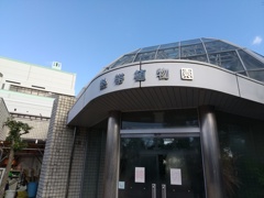 ９９％の姫路市民が存在を知らない（ような気がする）市川ふれあい緑地の熱帯植物園