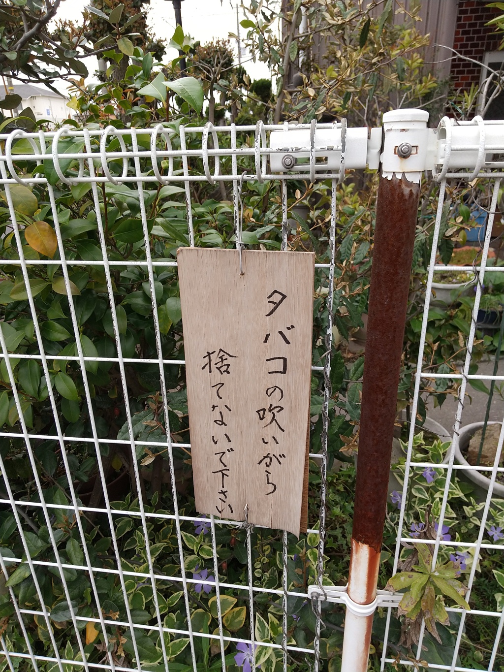 吸いがらでも吹きがらでも無い「吹いがら」