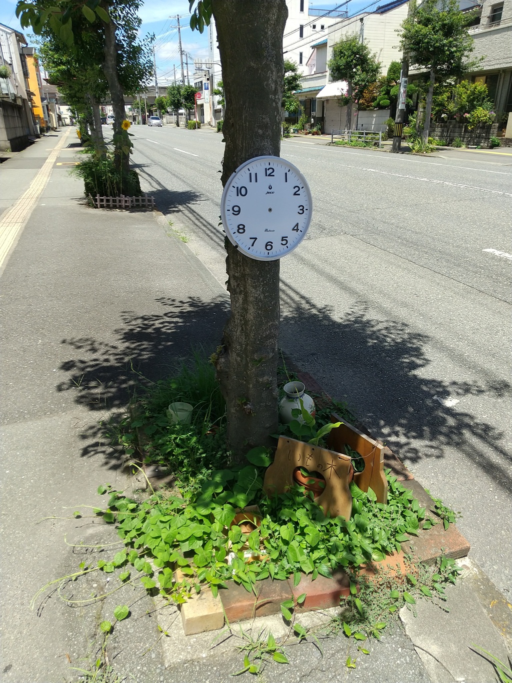 街路樹に一切の針がない掛時計、安直な現代アートっぽくて良い