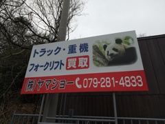 取って付けたようなパンダが乙