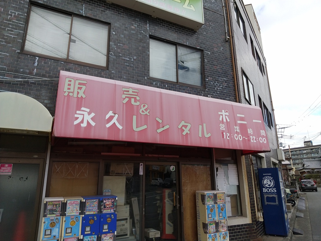 レンタルにして永久