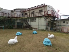 脱力系魔方陣