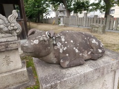 庄田天満神社の撫牛