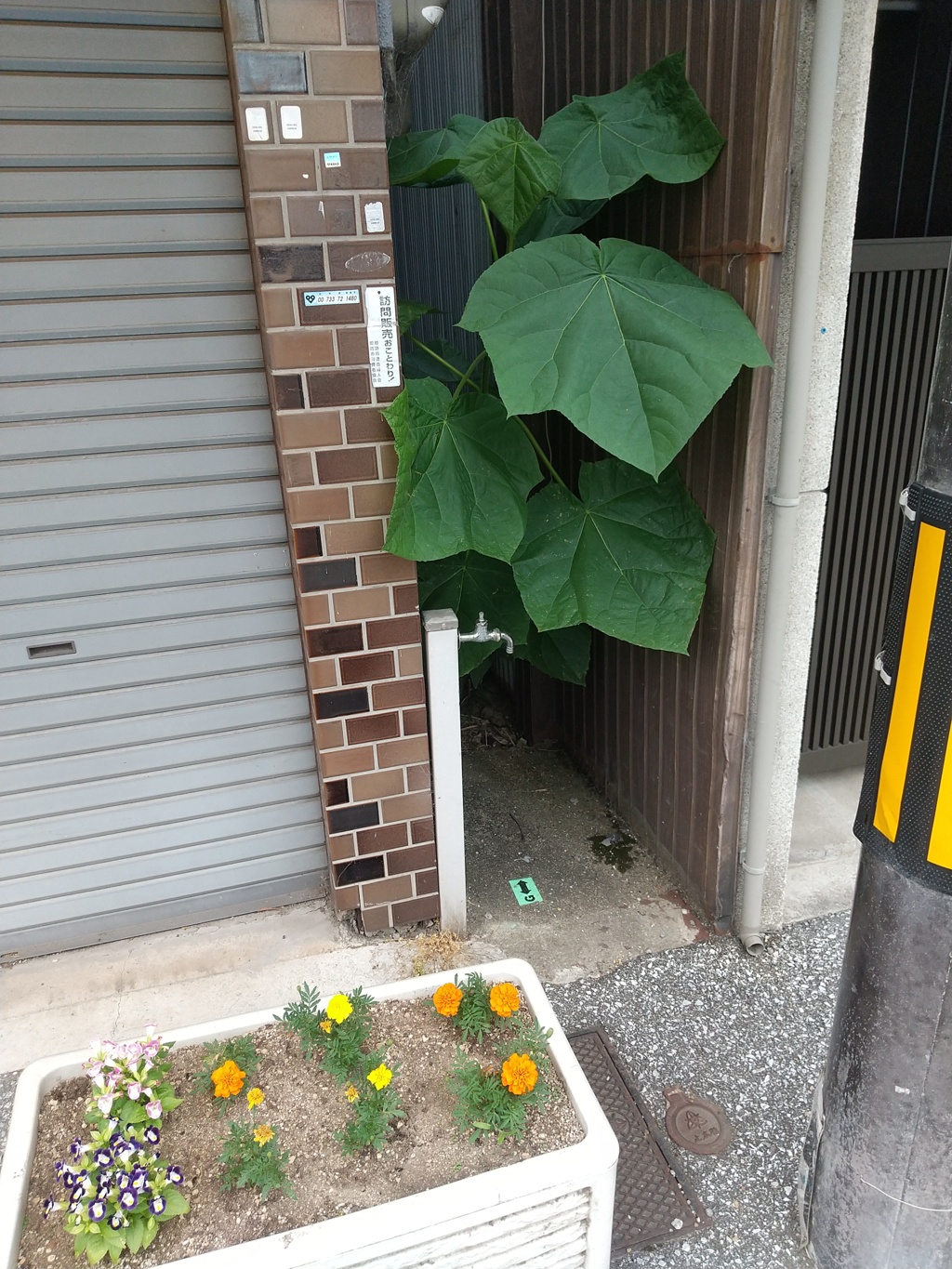 そこはかとなく不穏