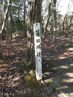 蒲田城跡に登りました