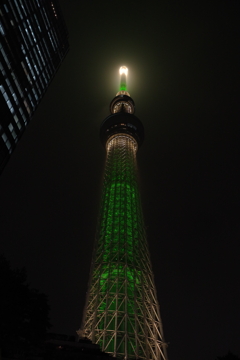 IMGP6129