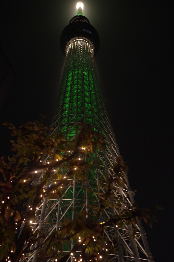 IMGP6131_1