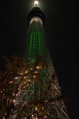 IMGP6131_1