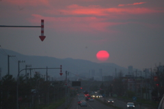 夕日
