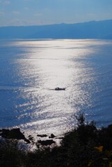 海