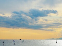 海
