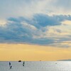 海