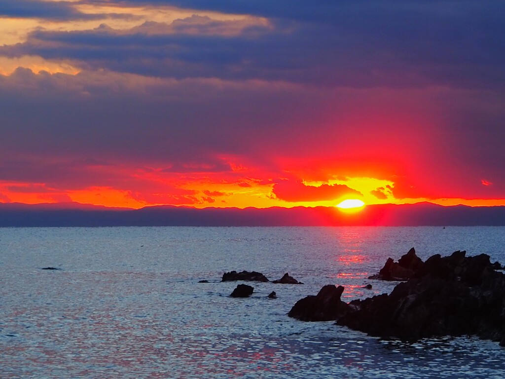 海