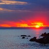 海