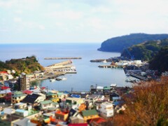海