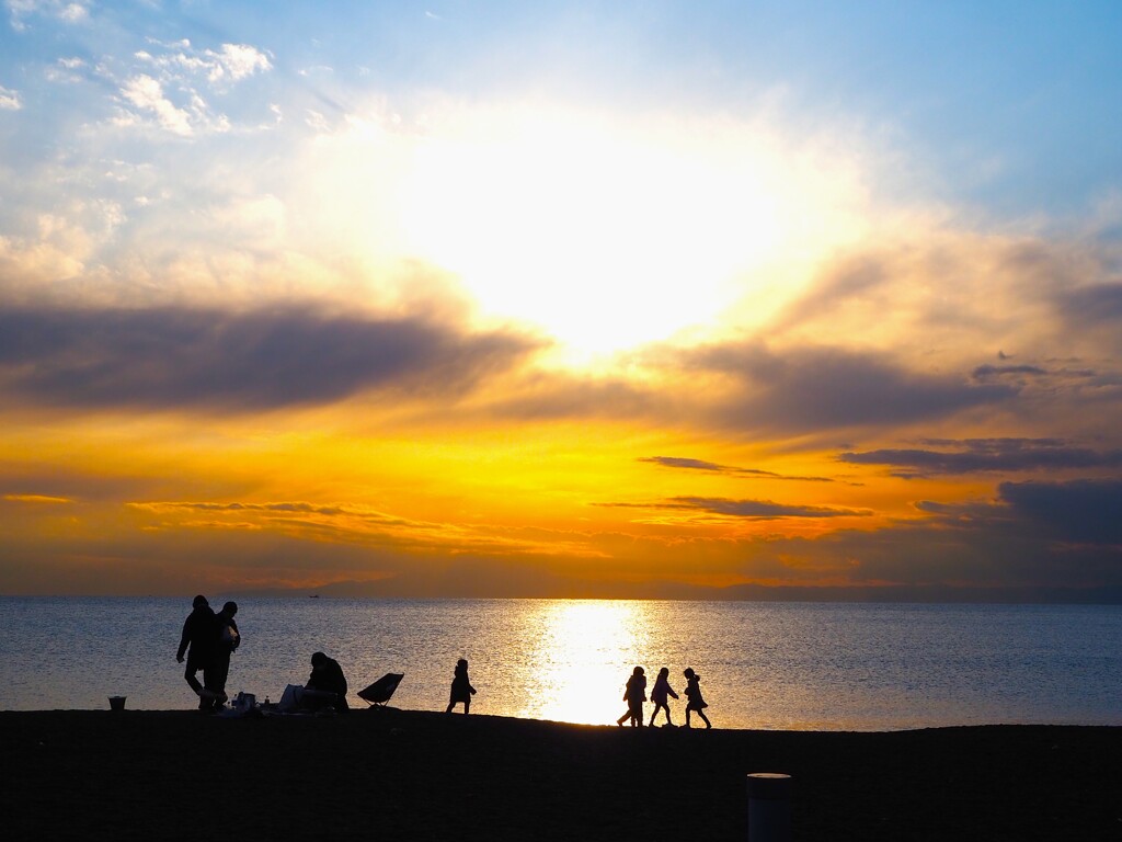 海