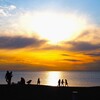 海