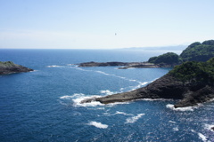 海