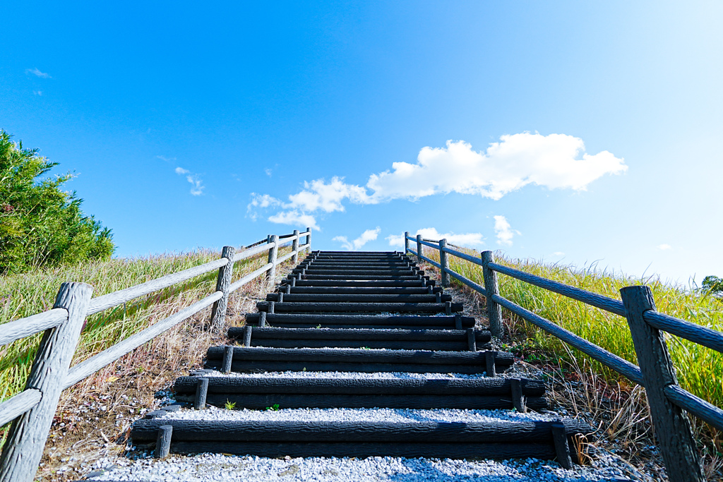 青へ続く階段