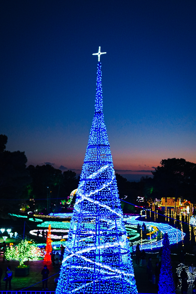 夕暮れとイルミ