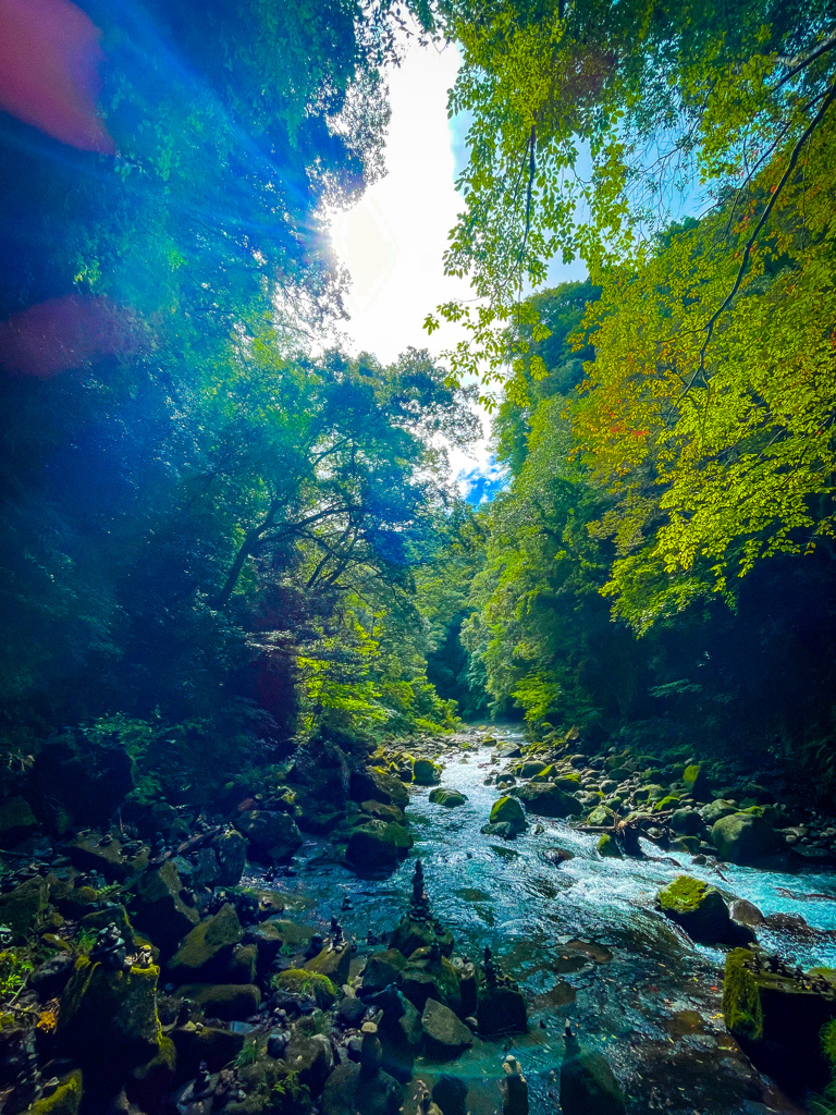 木漏れ日の渓流