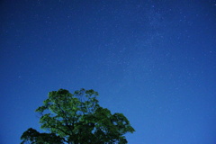 星景