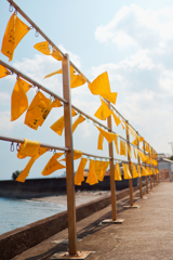 黄色いハンカチ