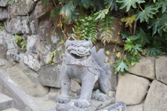 狛犬