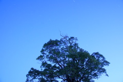 星景
