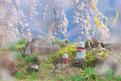 見守る