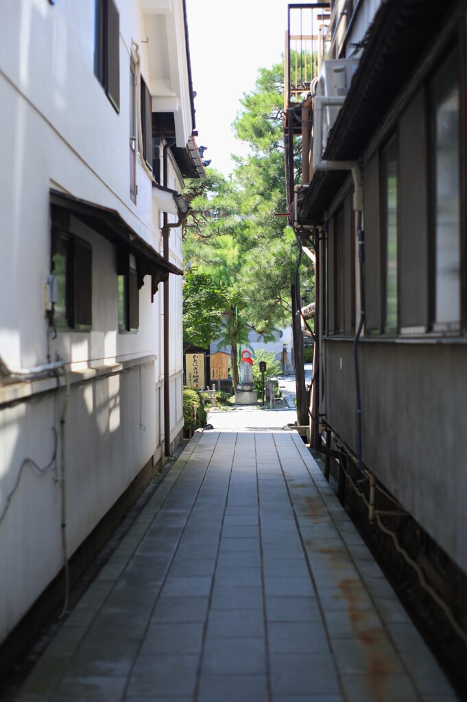参道