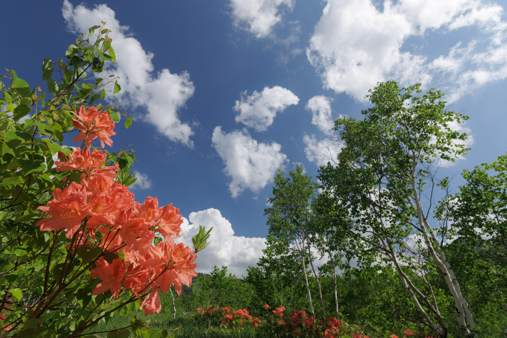 気分爽快 by Nuts-kozou （ID：13565126） - 写真共有サイト:PHOTOHITO