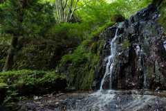 倉科三滝　一の滝
