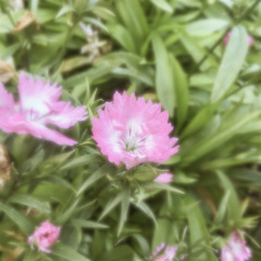 B89473B3-71EA-434F-8155-93832F86CD34