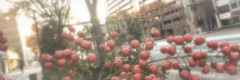パステルセピアと花々の接写　Vol. 20
