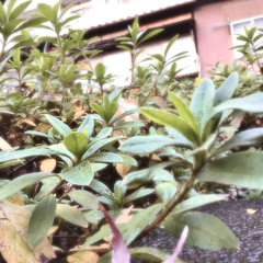 F7D6690B-370C-4794-A810-AC9C63A26D4F