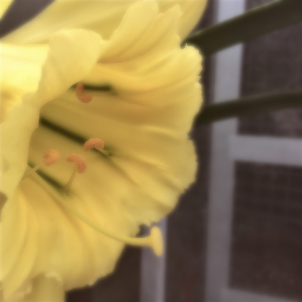 88243412-D9D6-4BEF-B7C9-A9C62BDC4BE8